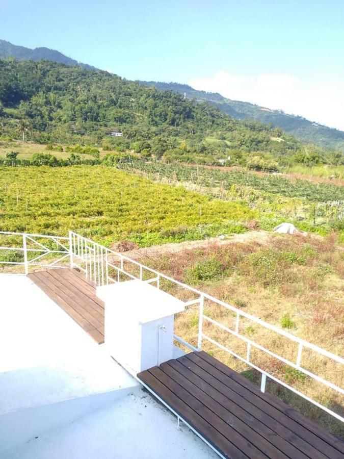Back To Real Hostel Taitung 외부 사진