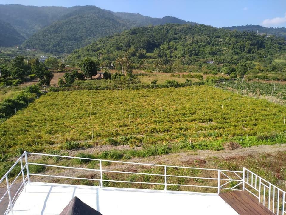 Back To Real Hostel Taitung 외부 사진